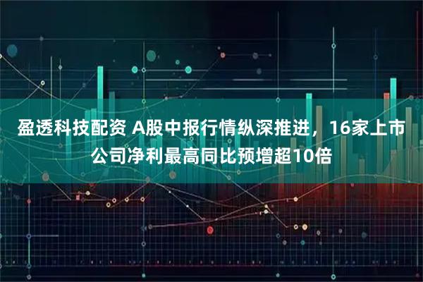 盈透科技配资 A股中报行情纵深推进,16家上市公司净利最高同比预增超10倍